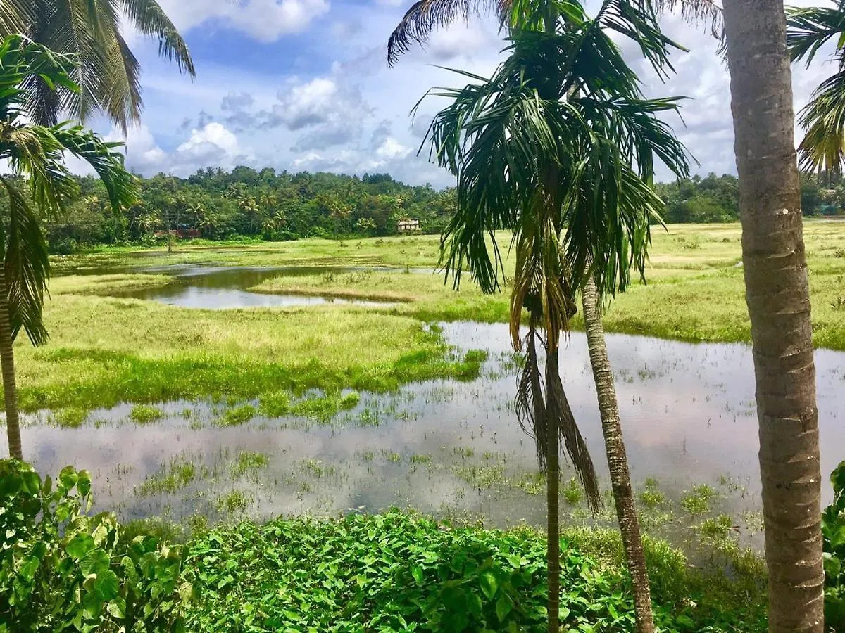Thottungal Homestay Nedumbassery