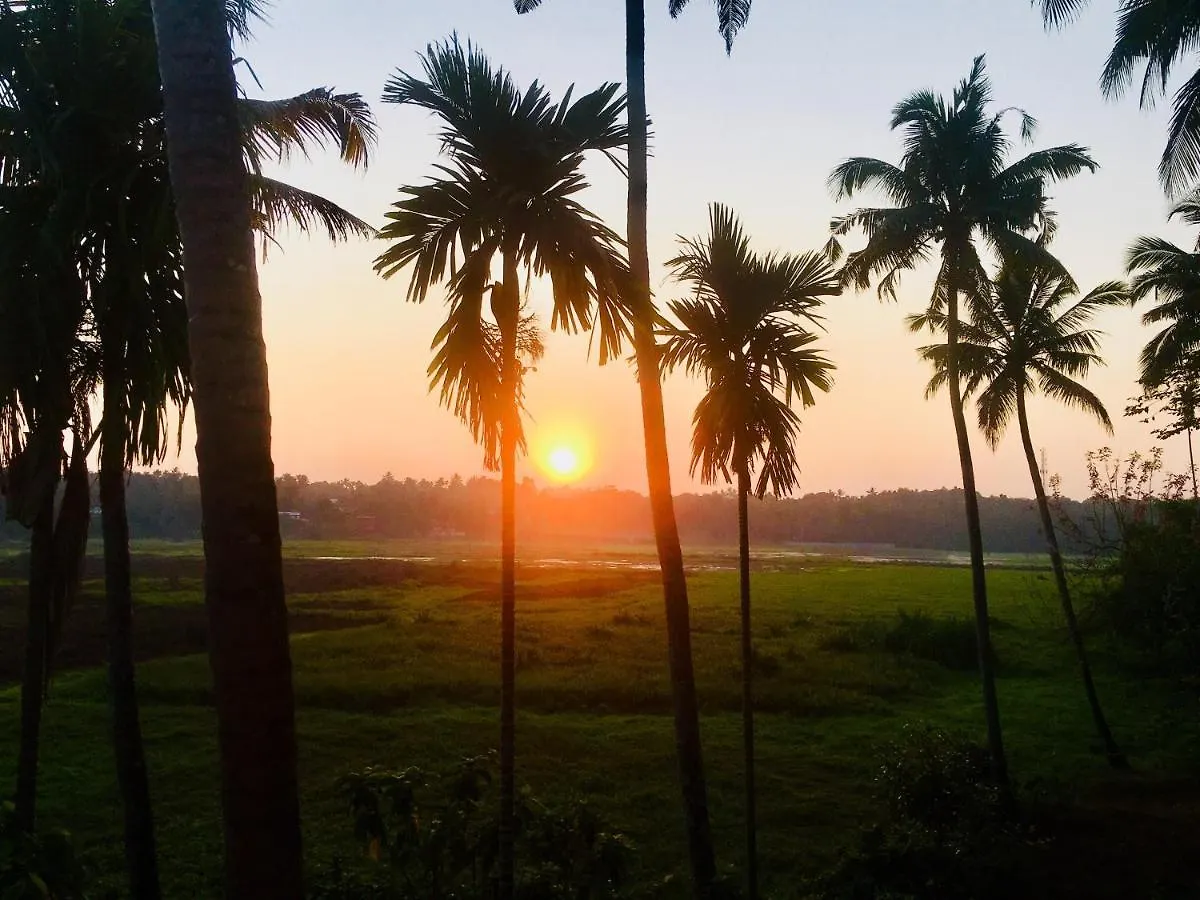 Thottungal Homestay Nedumbassery